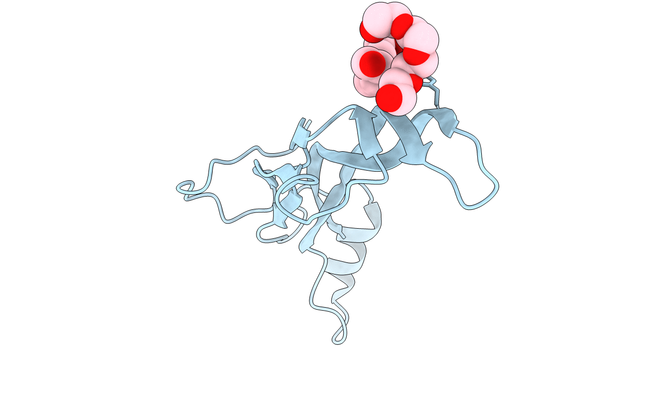 5E4G image