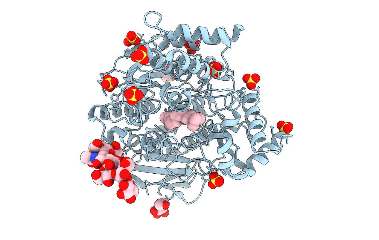 5E4J image