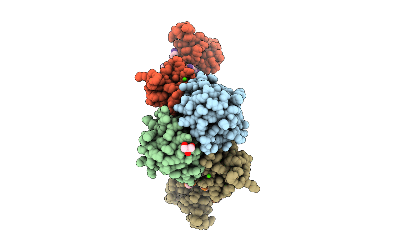 5E4W image