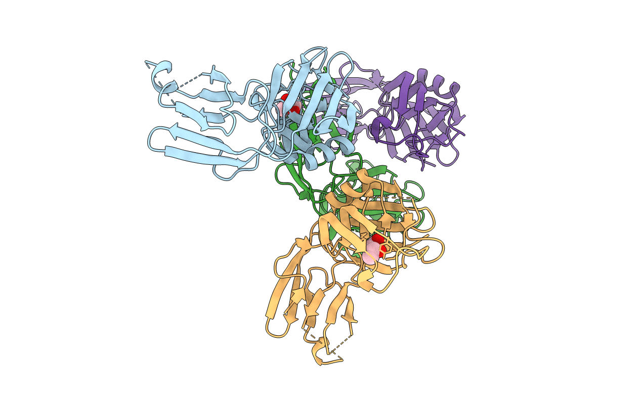 5E51 image