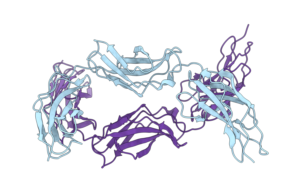 5E55 image