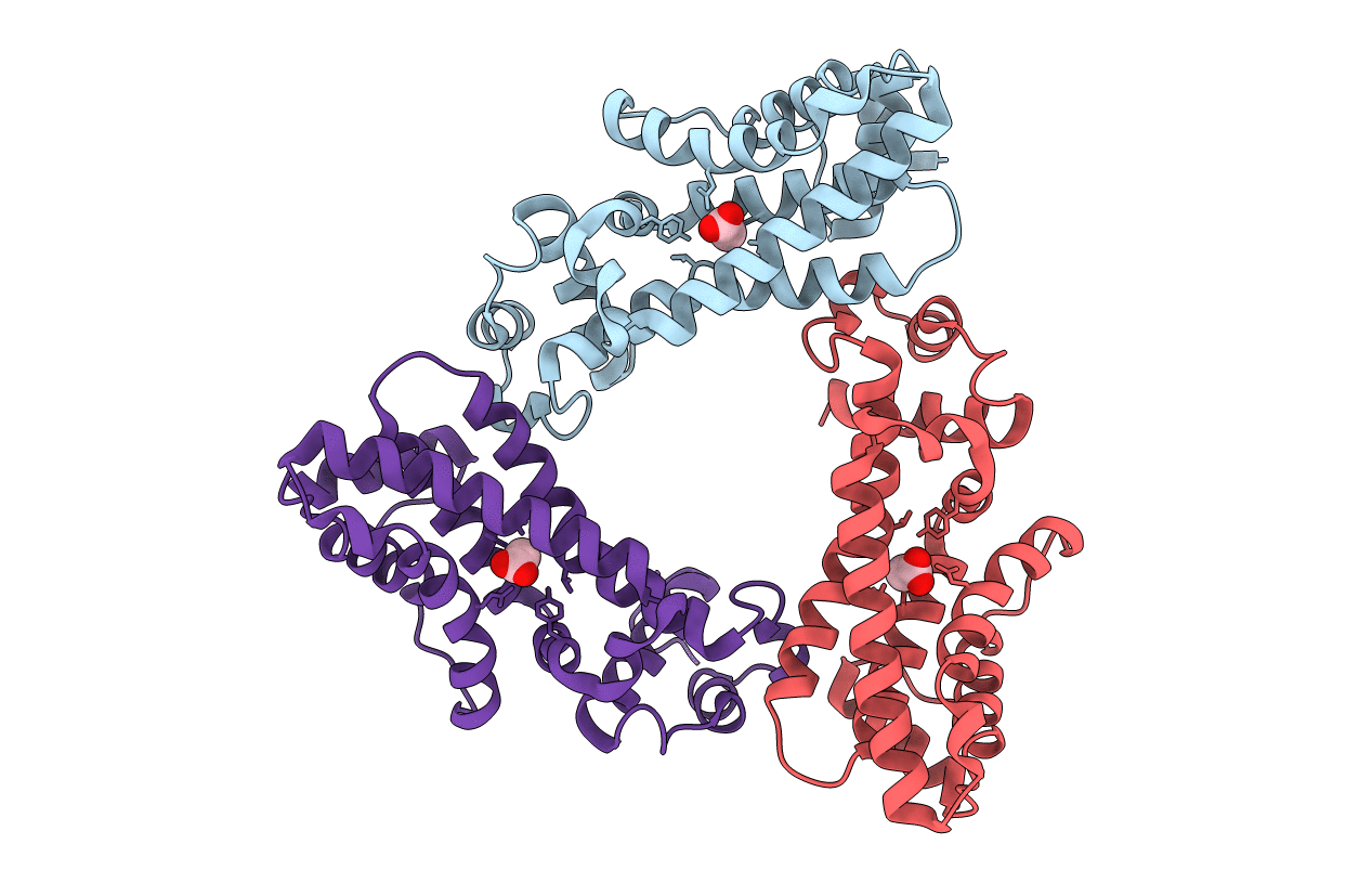 5E57 image