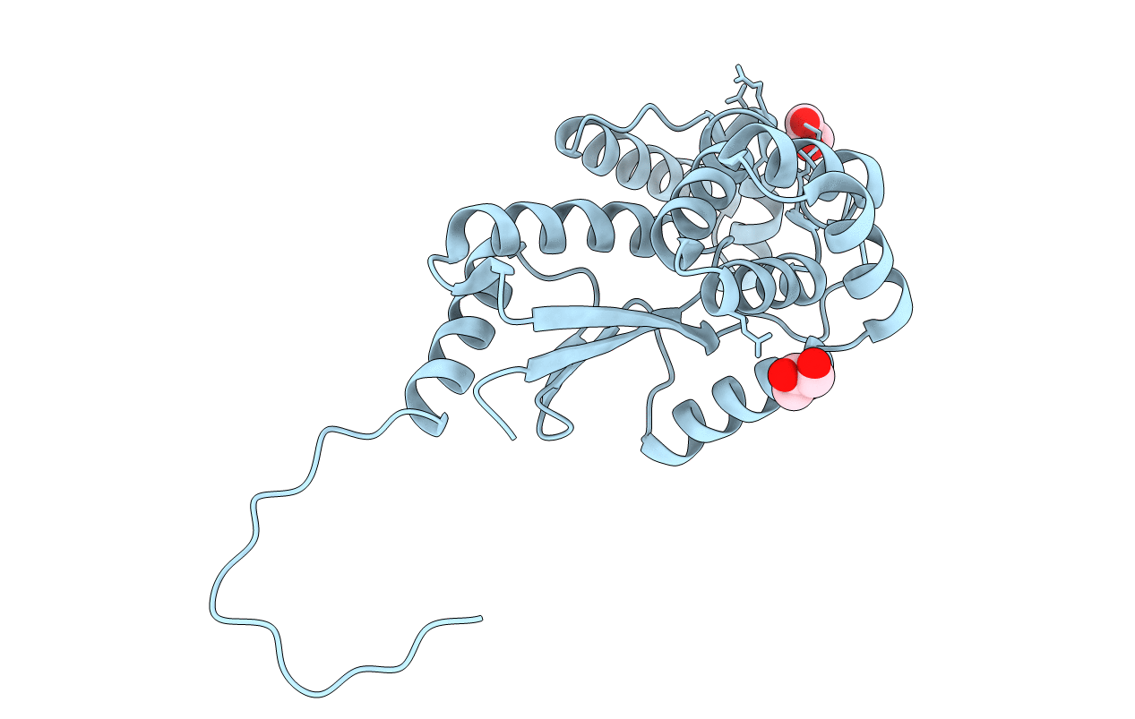 5E59 image