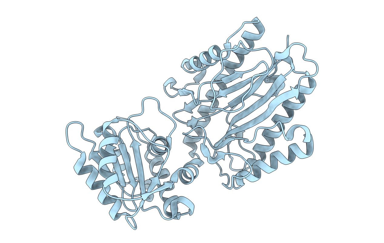 5E5B image