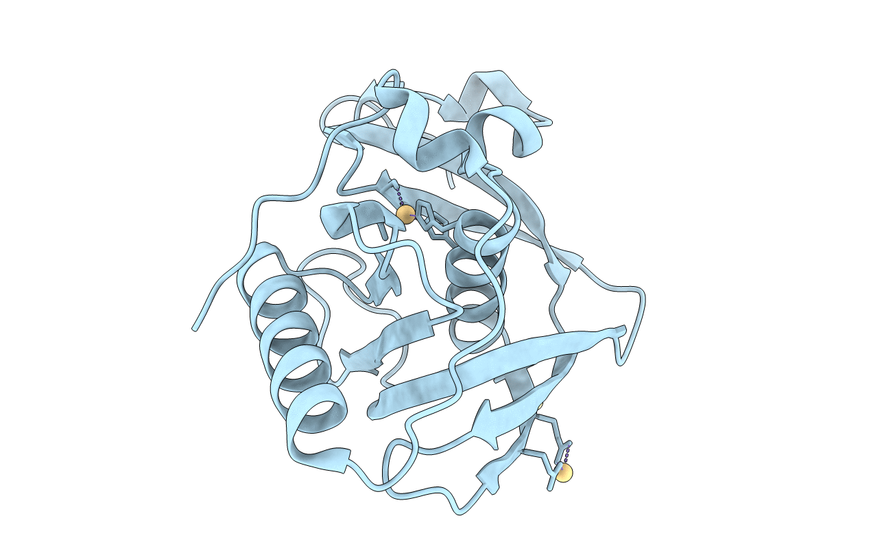 5E5D image