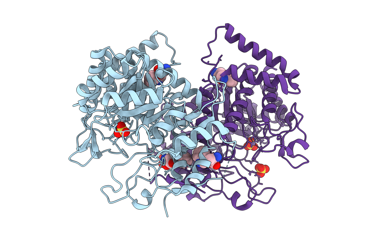 5E5G image