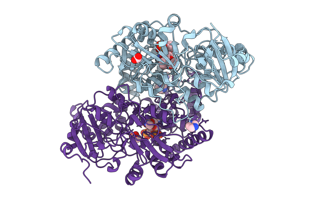 5E5H image