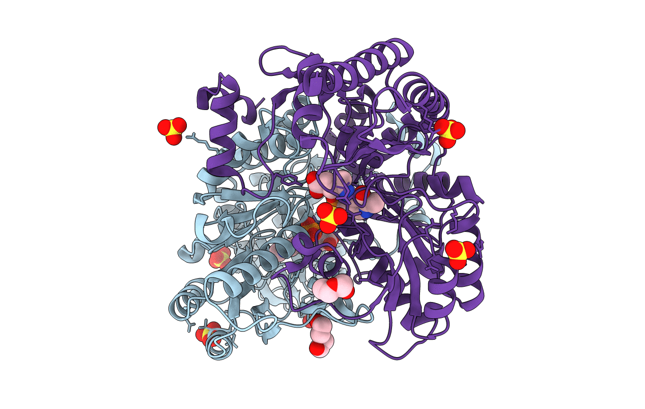 5E5I image