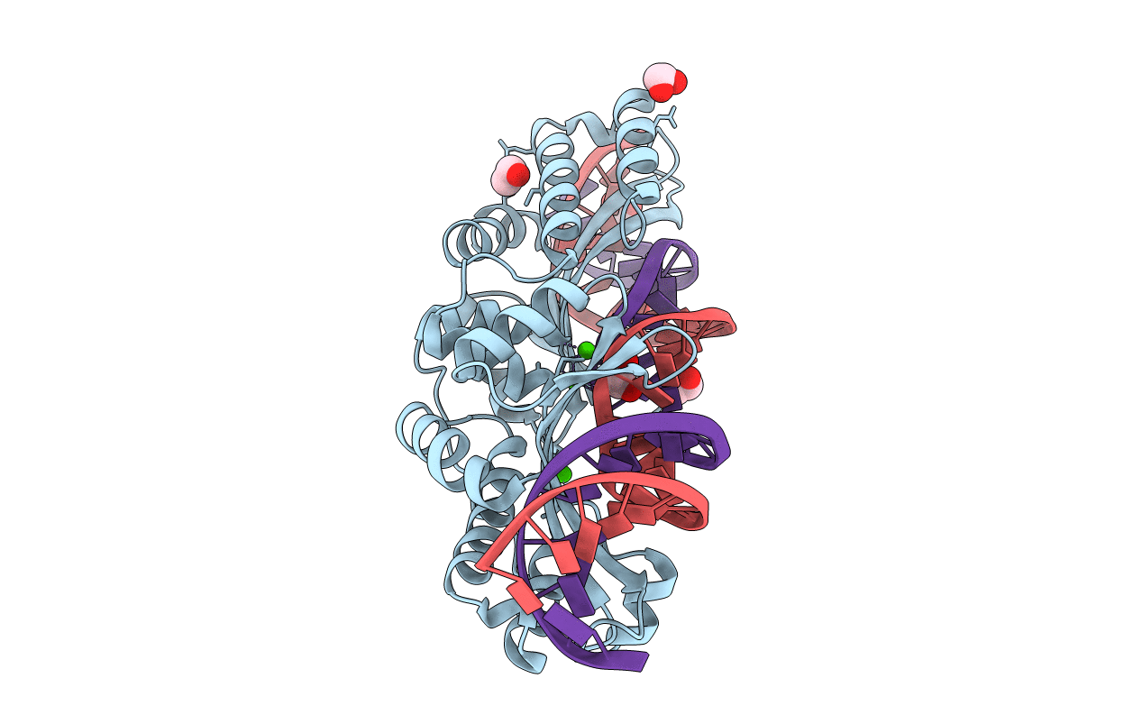 5E5O image