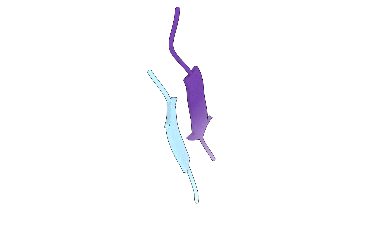 5E5V image