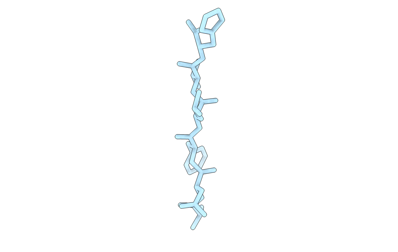 5E5X image