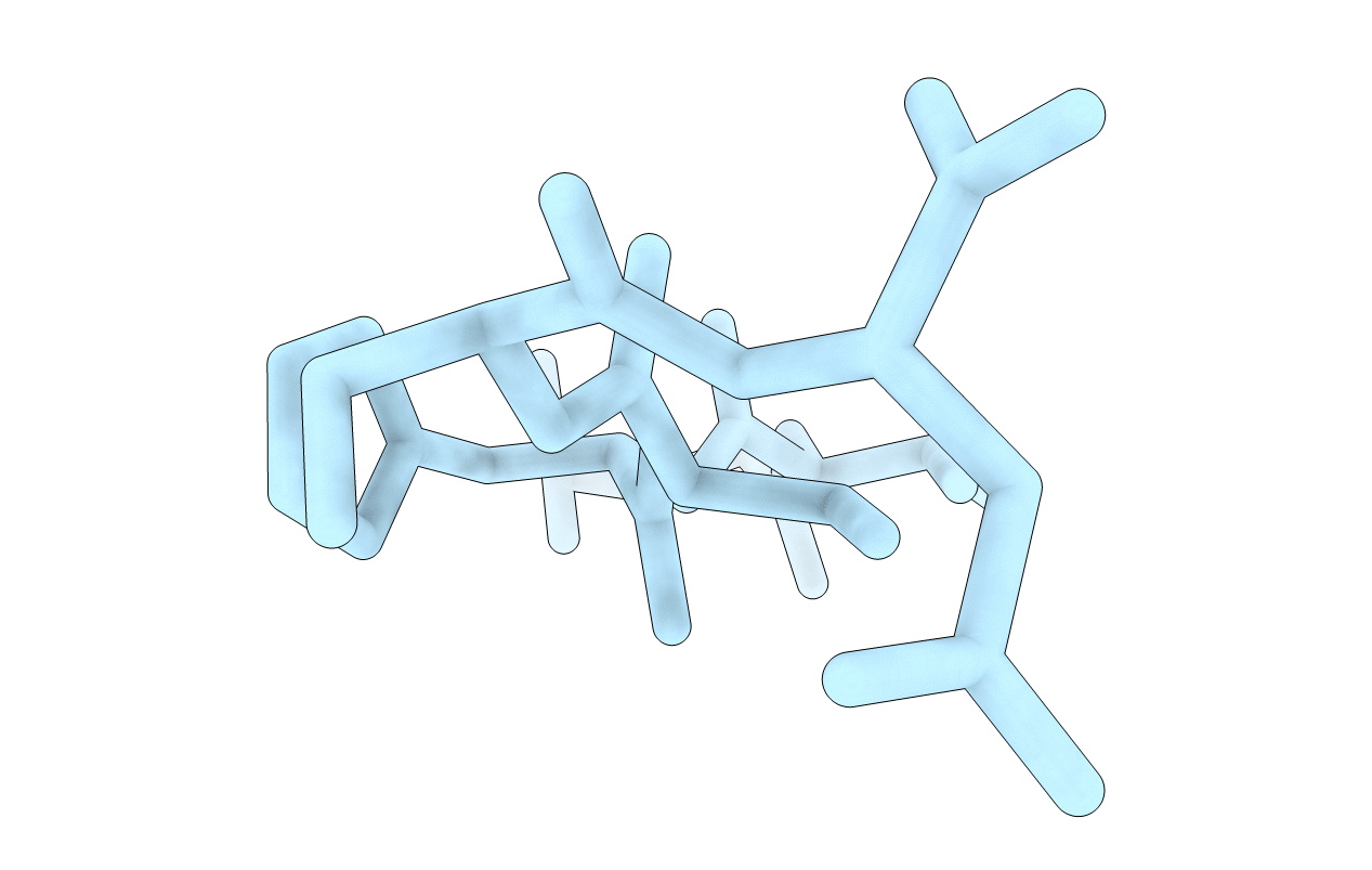 5E5Z image