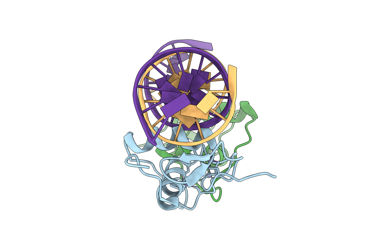 5E6B image