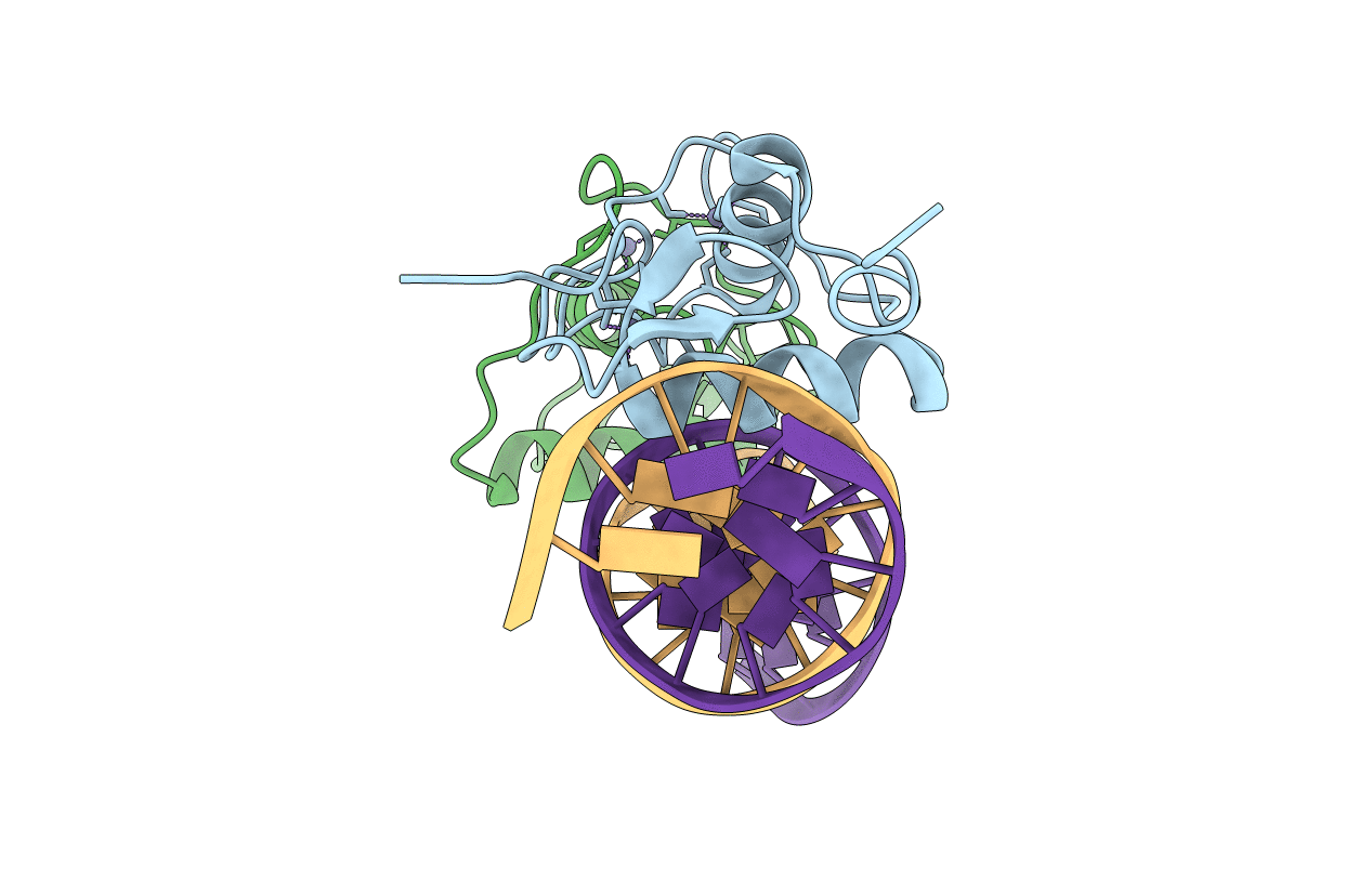 5E6C image