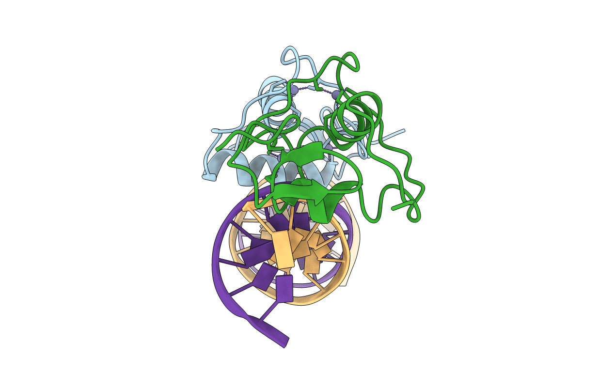 5E6D image