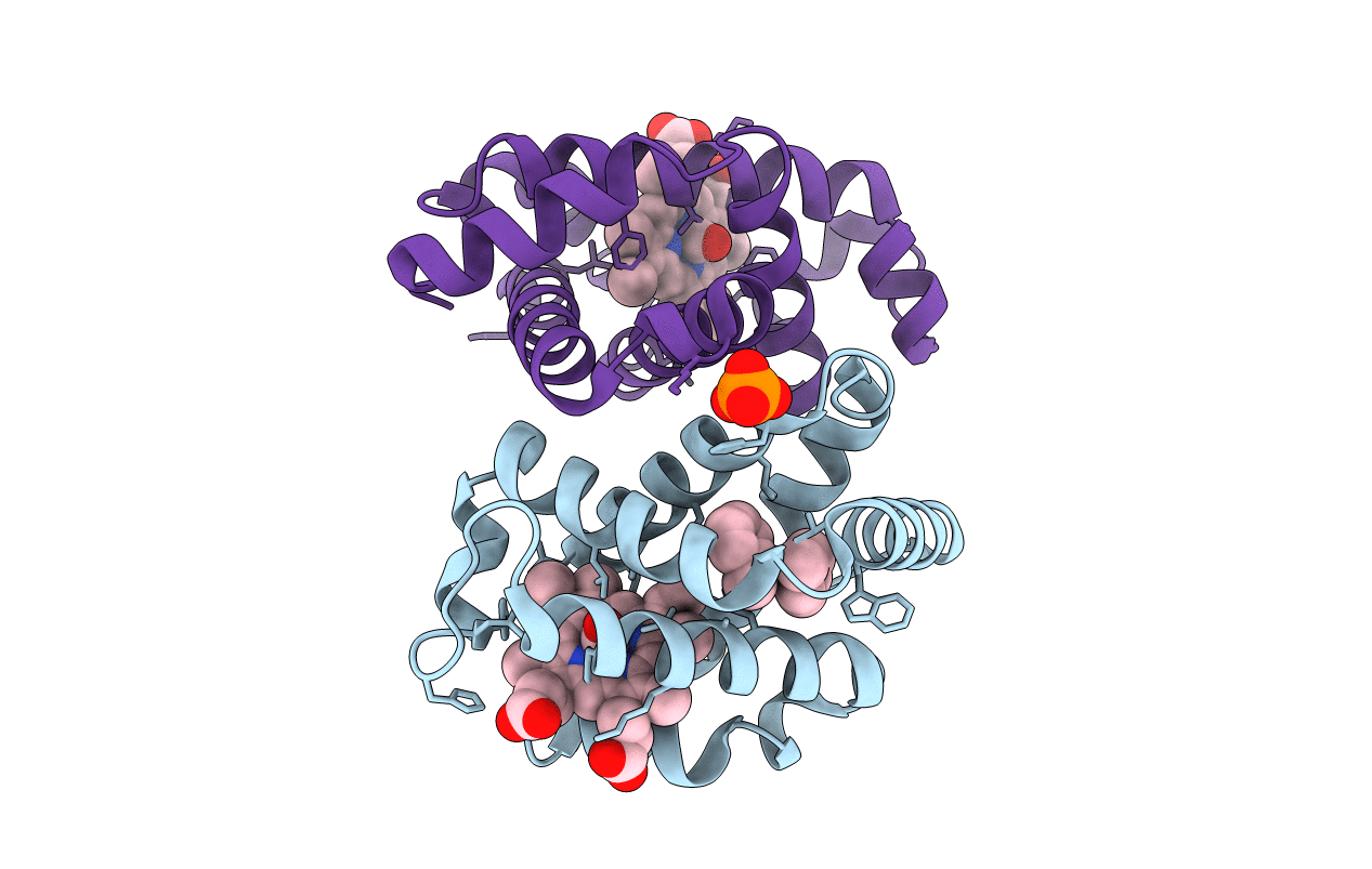 5E6E image