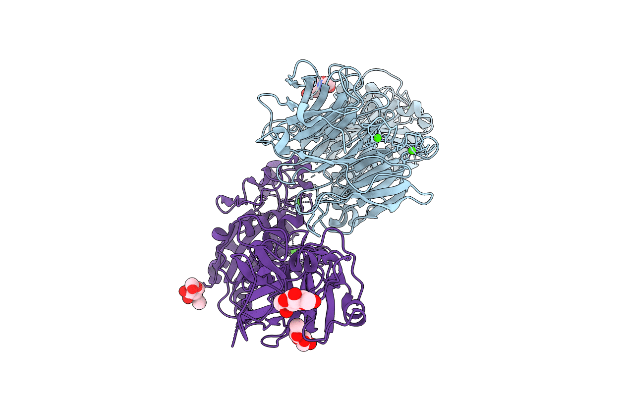 5E6R image