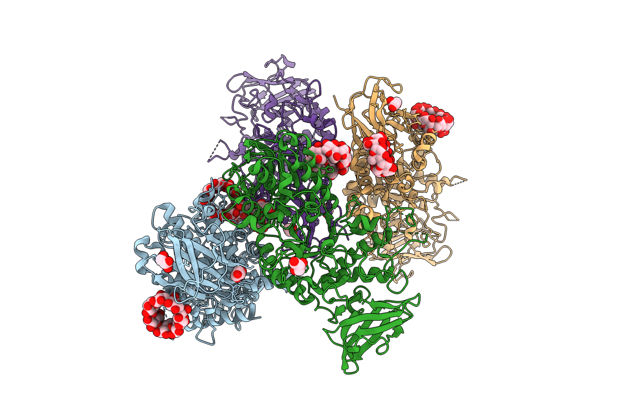 5E6Z image