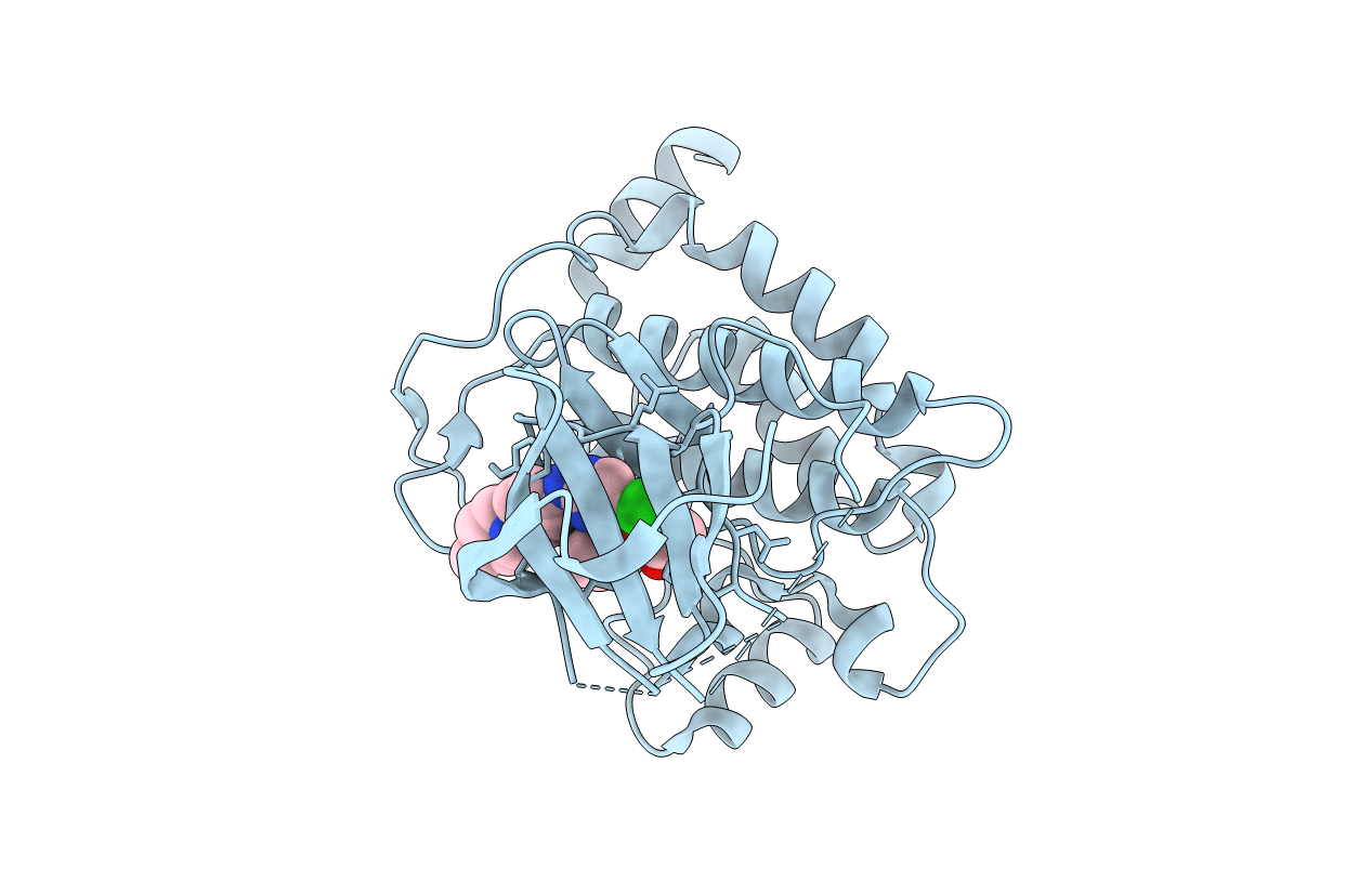 5E7R image