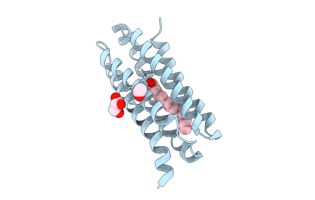 5E7X image