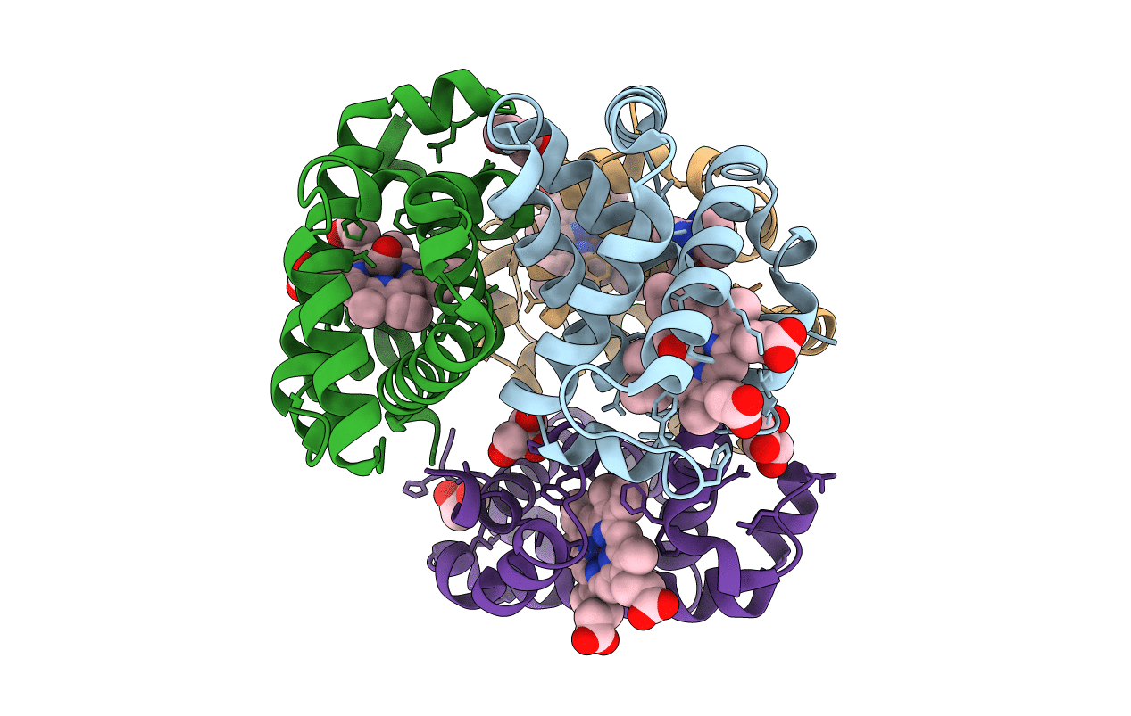 5E83 image