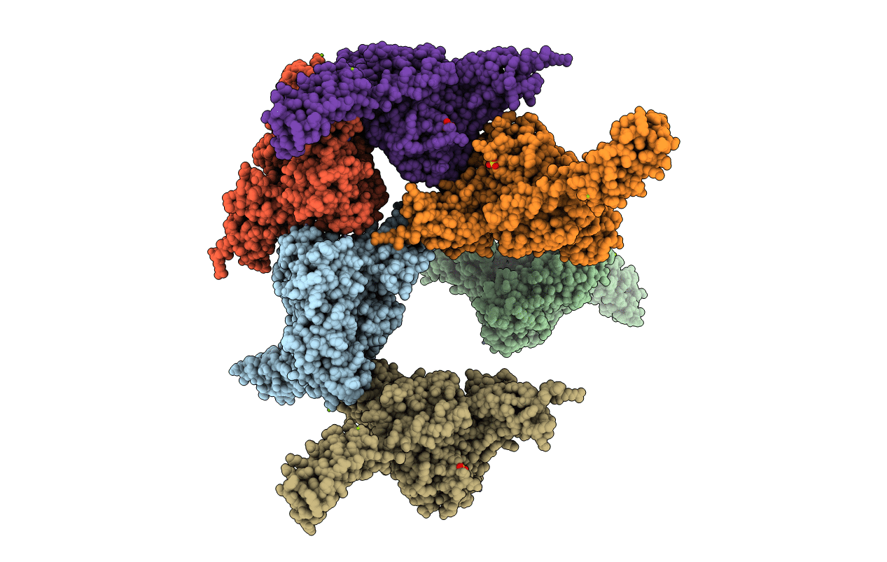 5E84 image