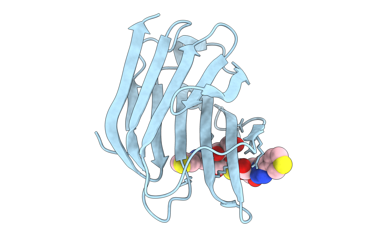 5E88 image
