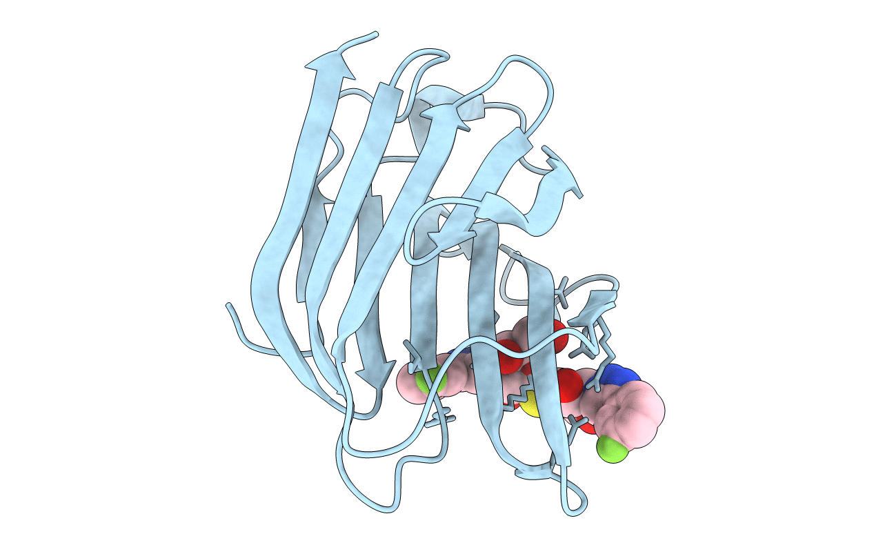 5E89 image