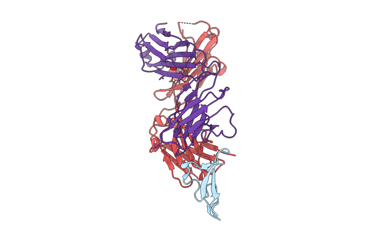 5E8D image