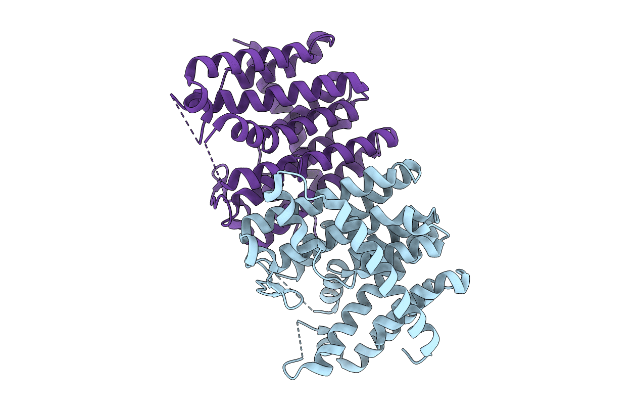 5E8H image
