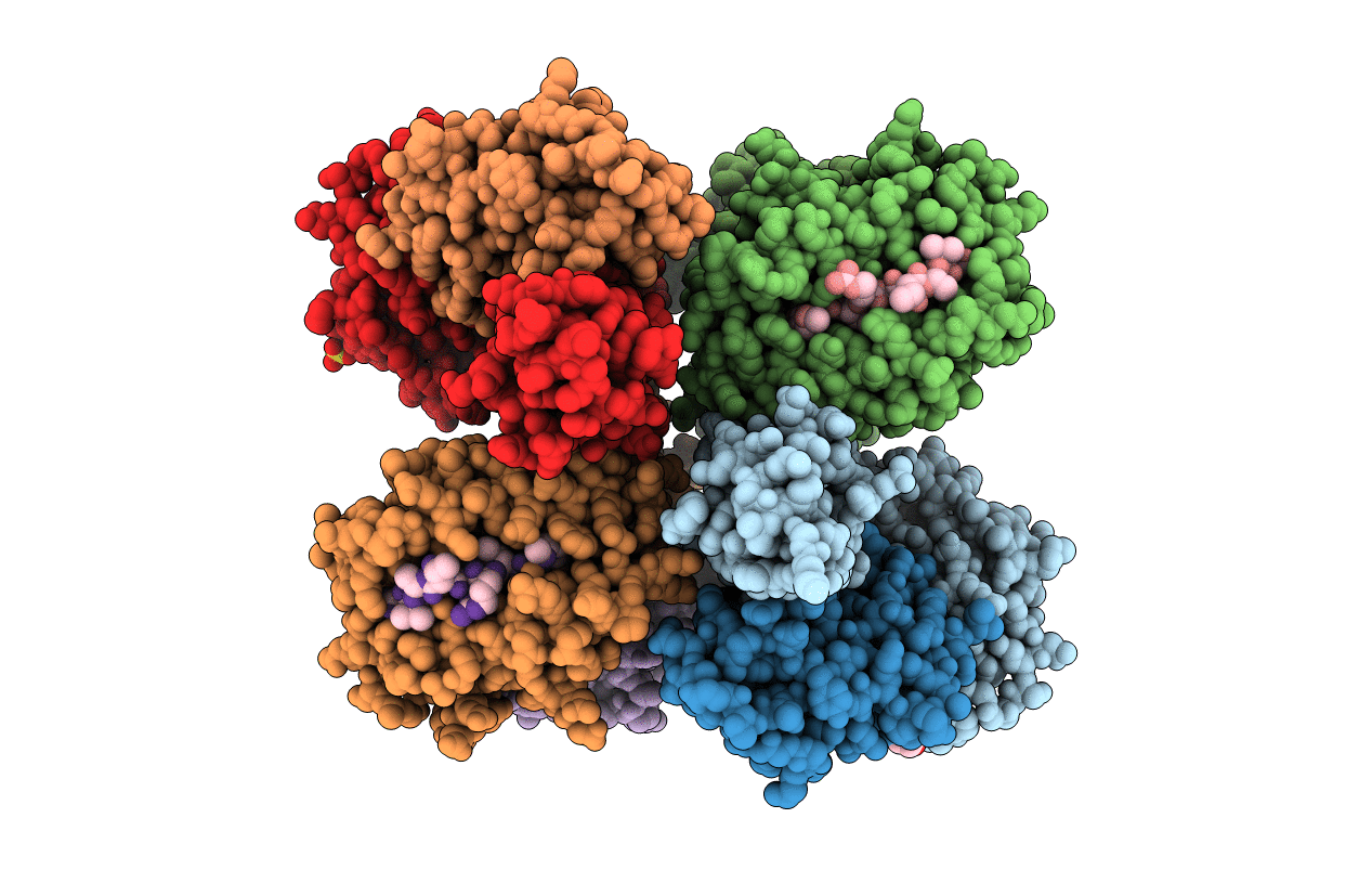 5E8N image