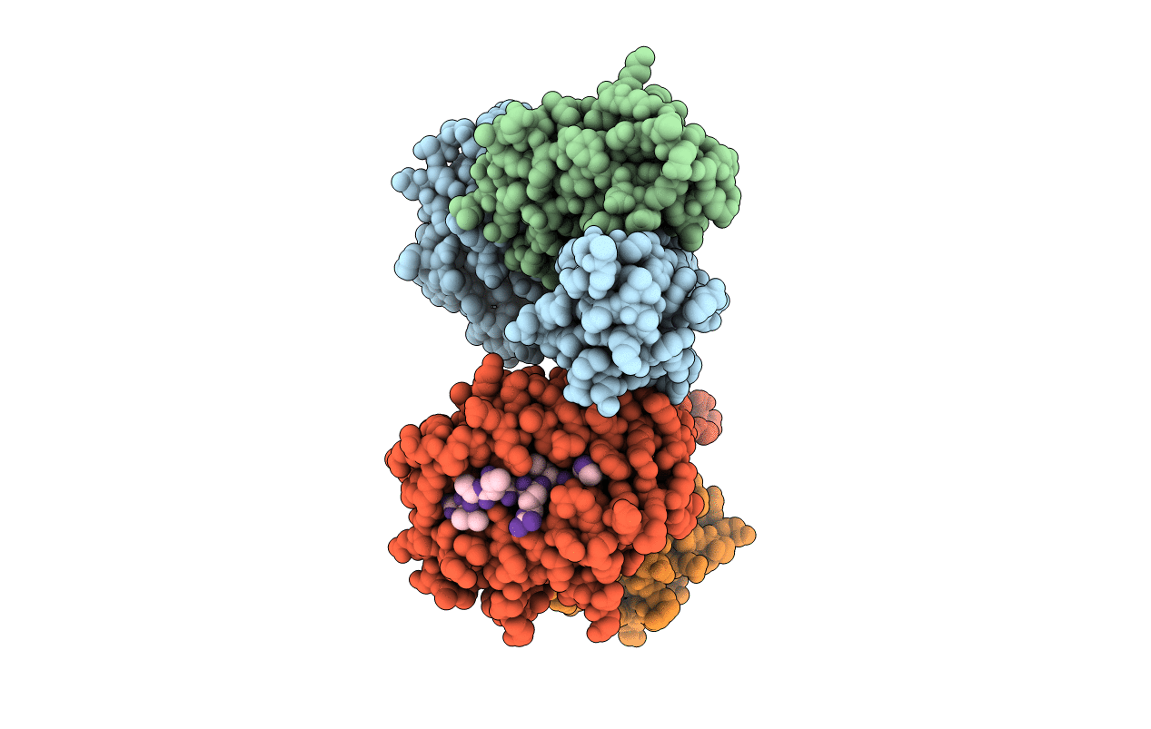 5E8P image