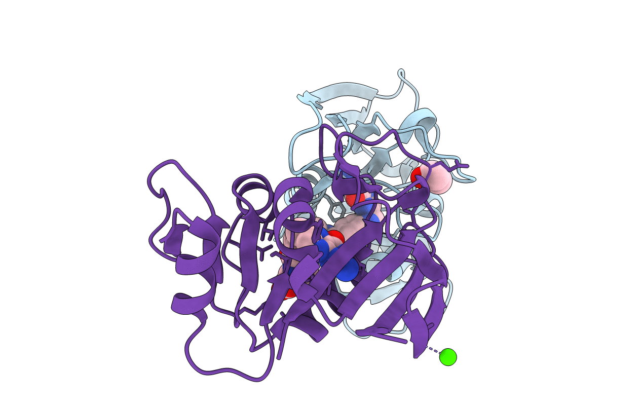 5E8Q image