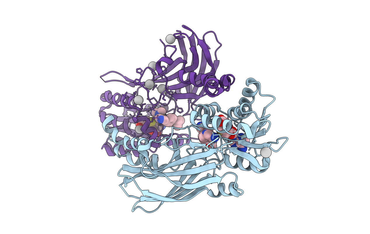 5E8R image