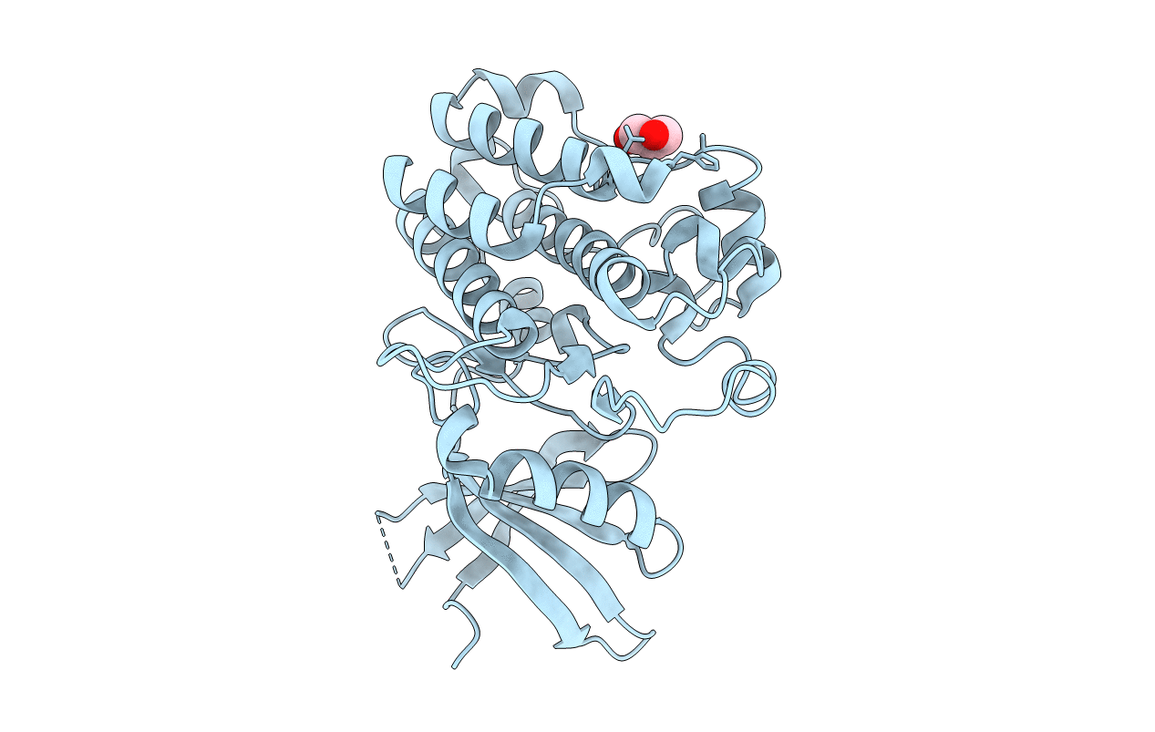 5E8V image