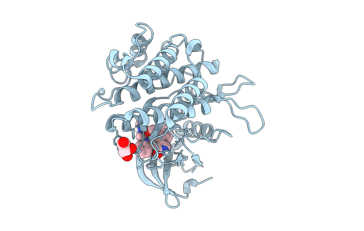 5E8X image