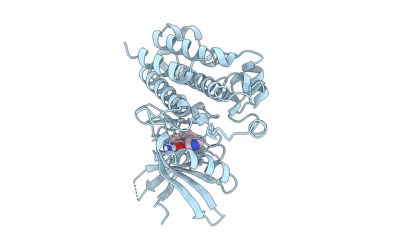 5E91 image