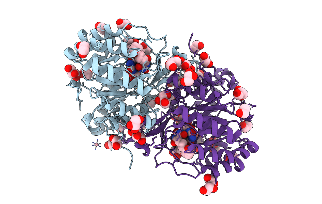 5E93 image