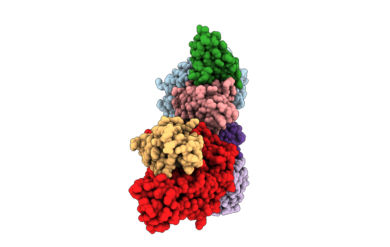 5E9D image