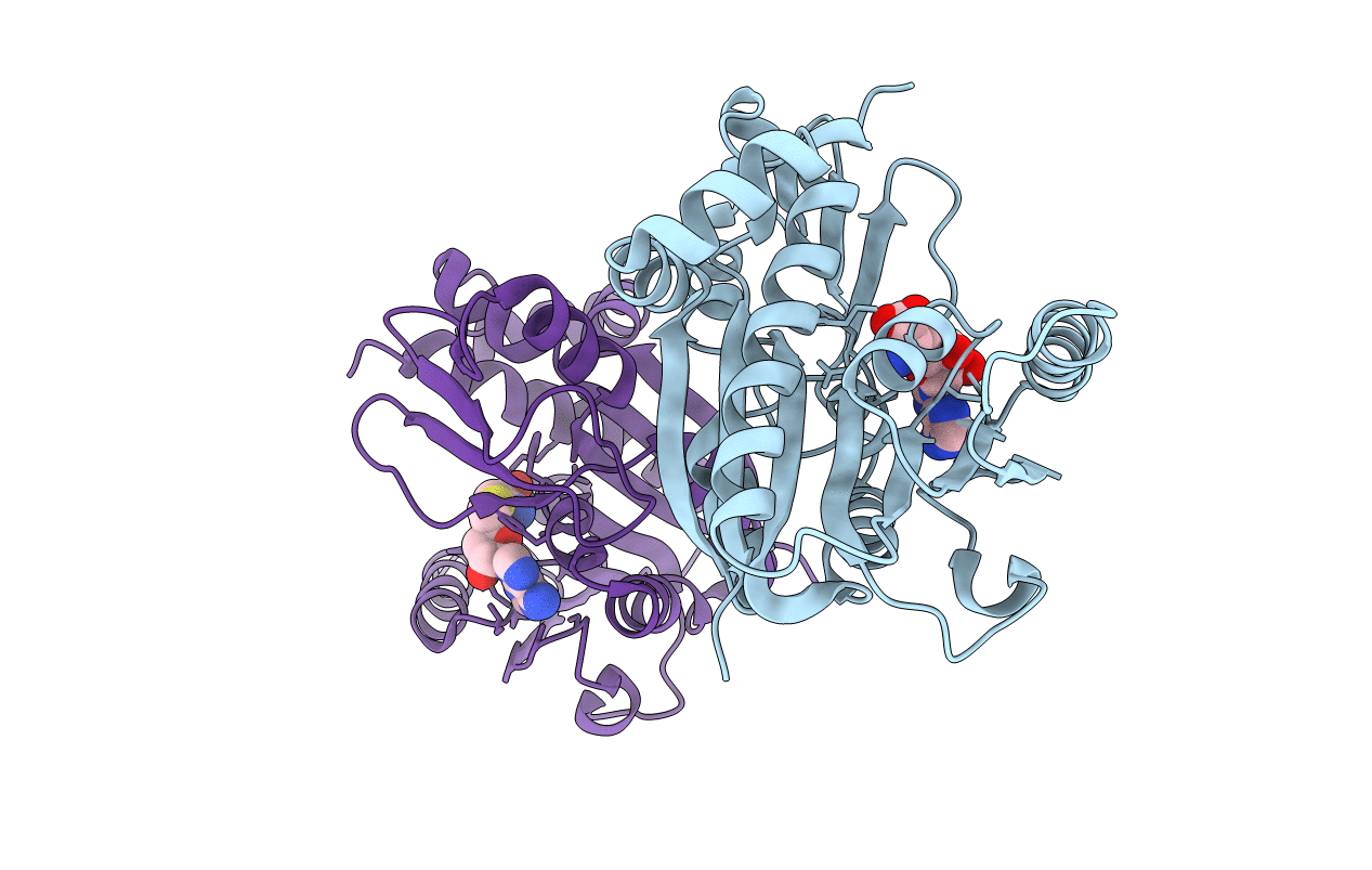 5E9J image