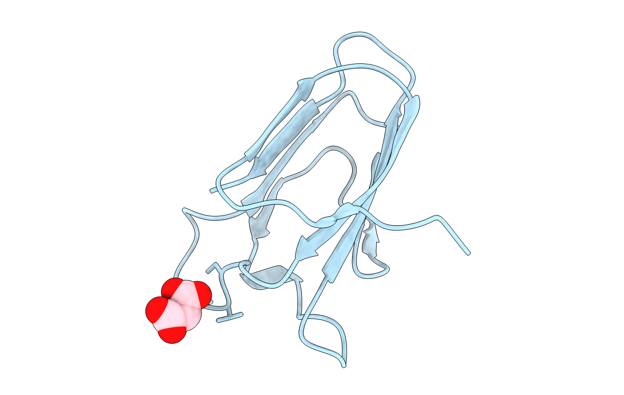 5E9P image