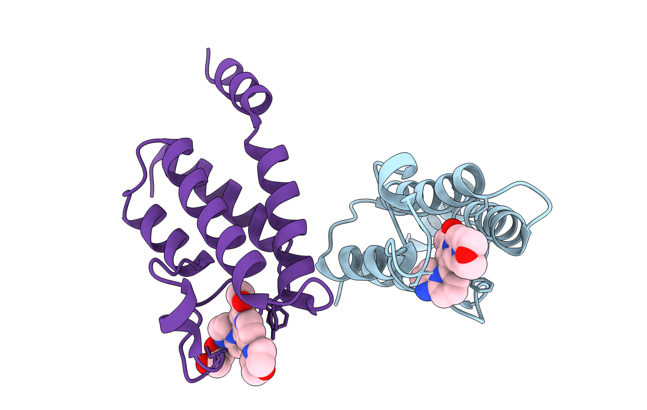 5E9V image