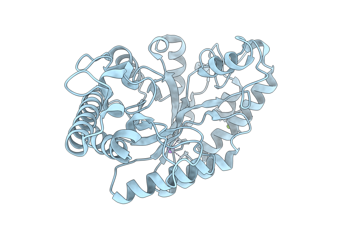 5EBA image