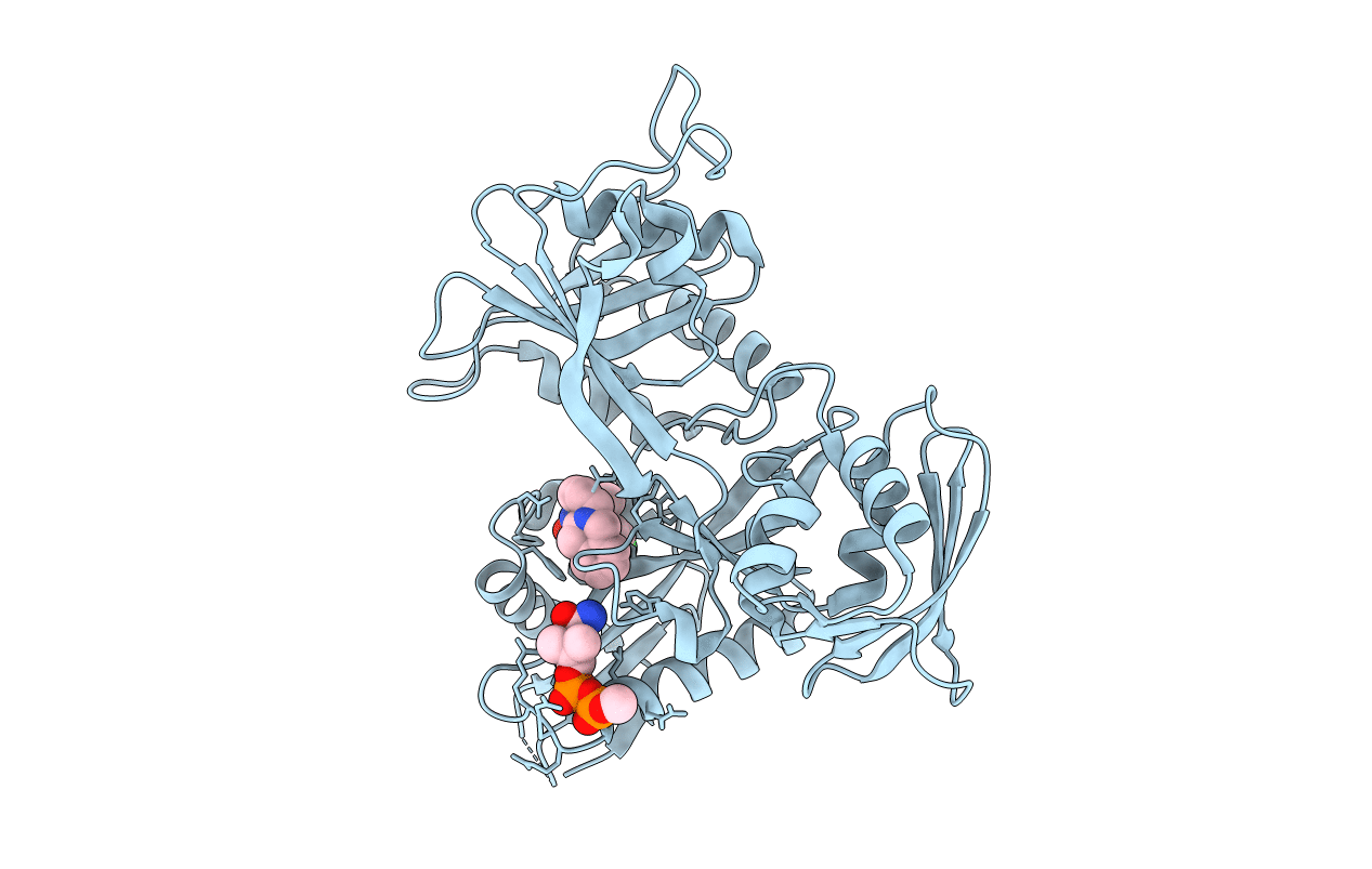 5EBV image