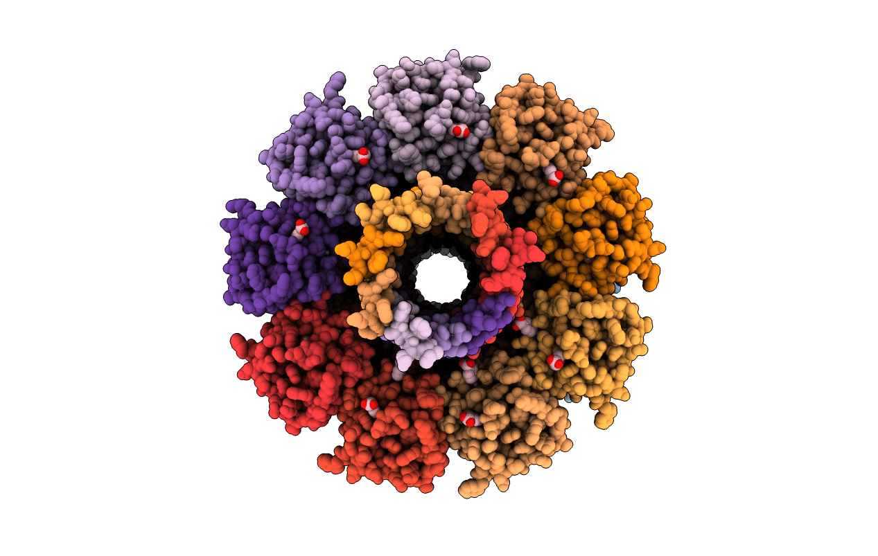 5EC5 image