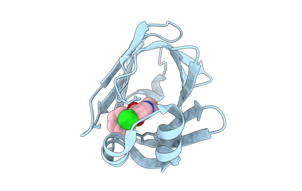 5EDB image