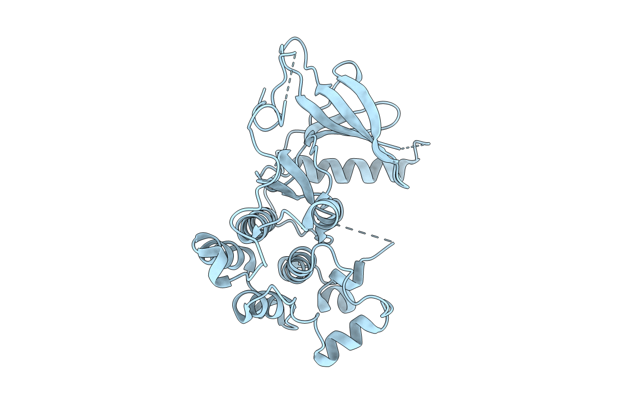 5EDP image