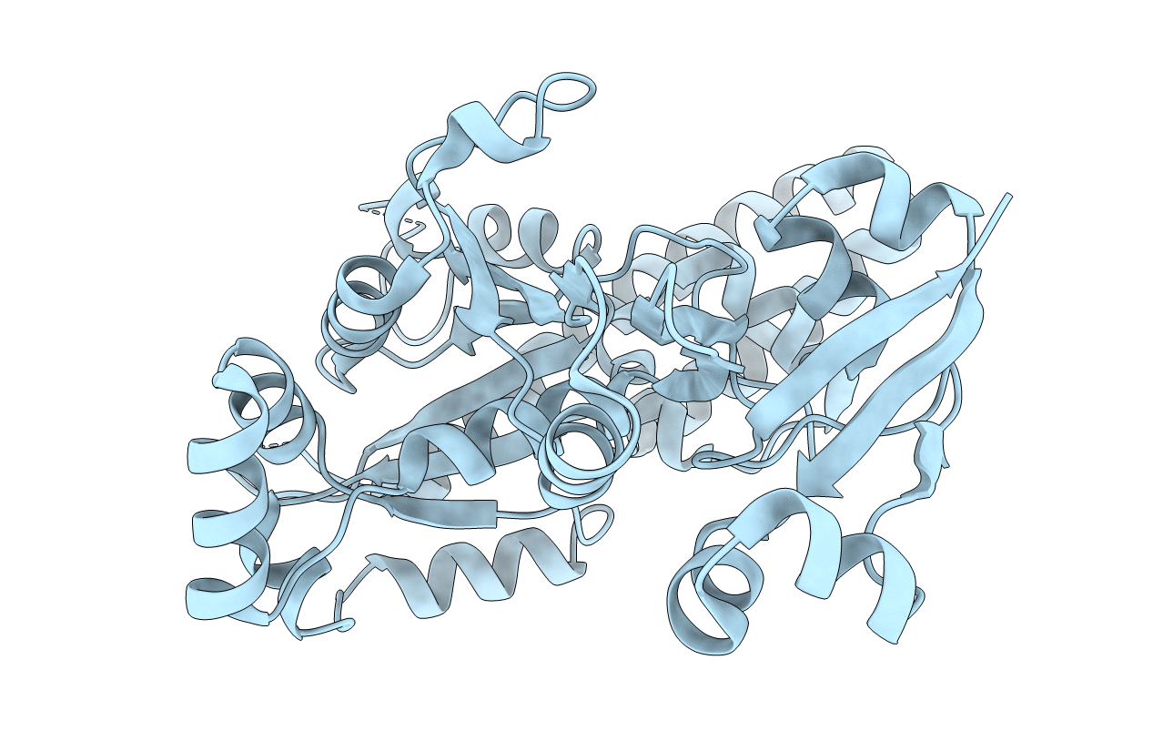 5EE1 image