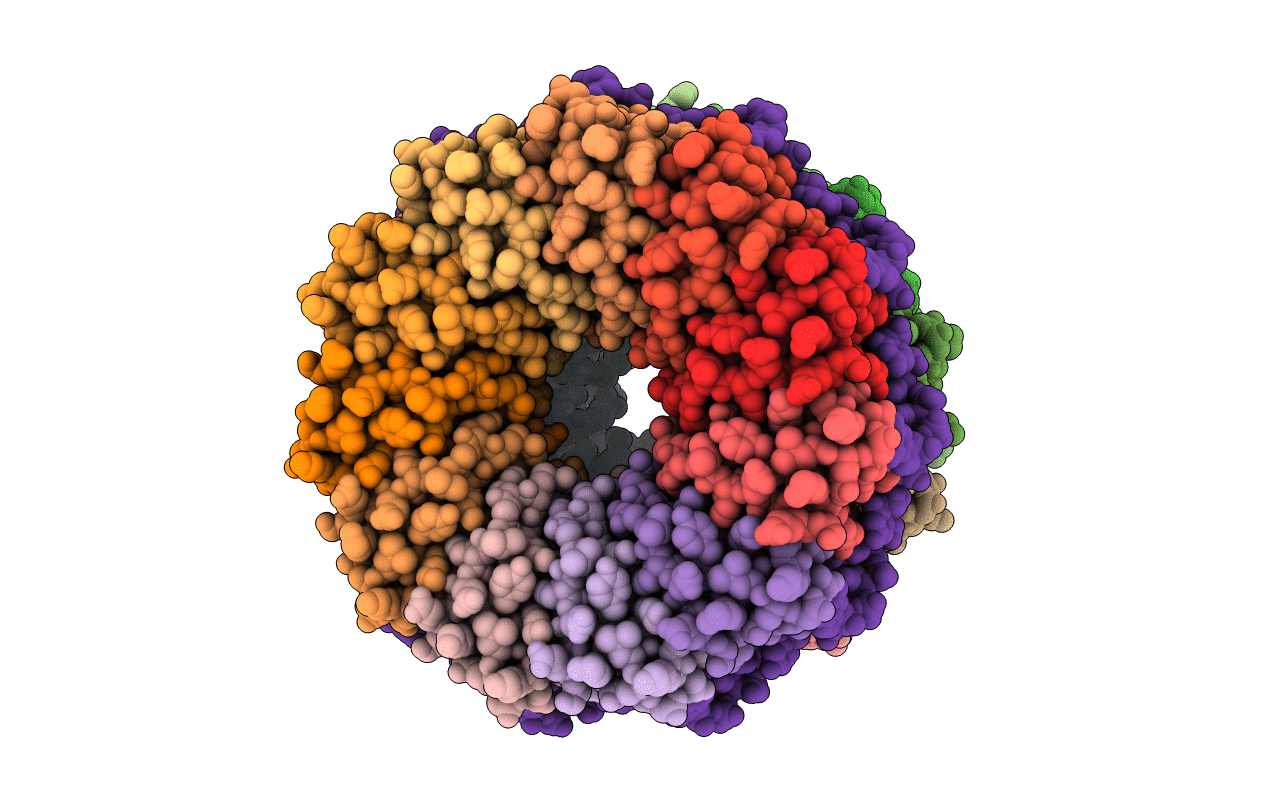 5EF1 image