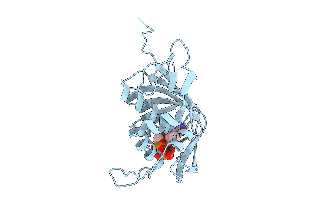 5EFA image